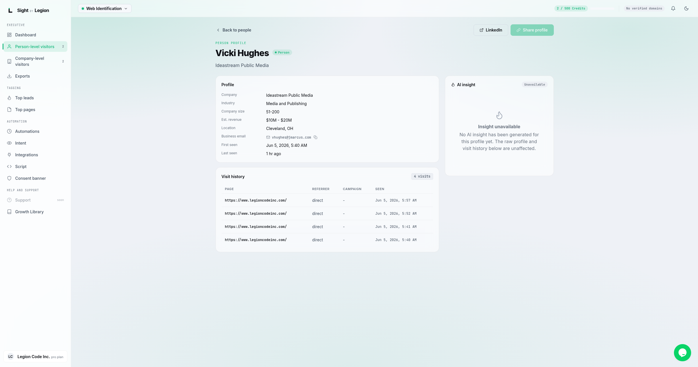 a person profile at /people/id with the Profile field list (title, company, industry, business email, match type, first/last seen) on the left, the Visitor journey panel below it showing the overview strip and the grouped visit timeline, and the AI insight panel on the right.